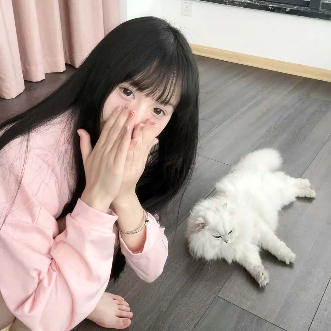 君有云第二季